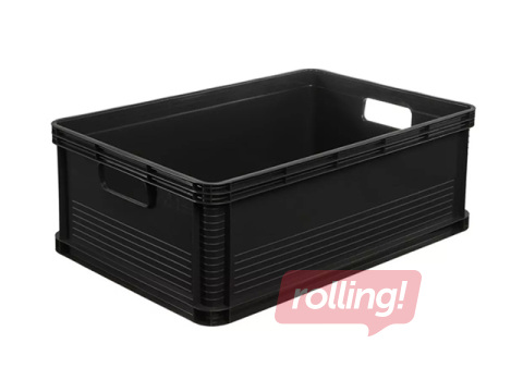 Transpordikast Keeeper Robert, plastist, grafiidivärvi, 45l