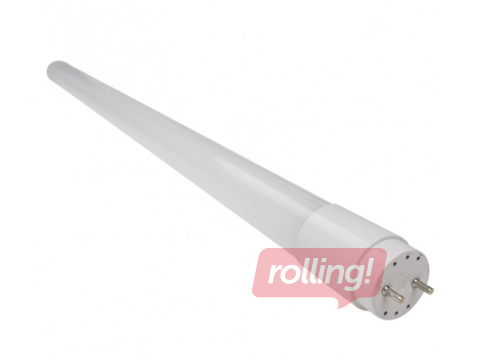 Daylight bulb EcoLight LED , T8, 9W, 4000K, 1215lm, 60cm