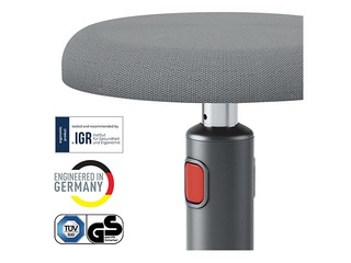 Multifunctional, adjustable chair Leitz Ergo Cosy, grey