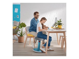 Multifunctional, adjustable chair Leitz Ergo Cosy, grey