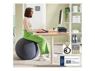 Балансировочный мяч Leitz Ergo, с функцией блокировки, 65см