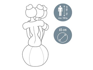 Tasakaalu pall Leitz Ergo, stopperifunktsiooniga, 65 cm