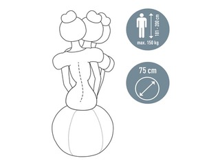 Tasakaalu pall Leitz Ergo, stopperifunktsiooniga, 75cm