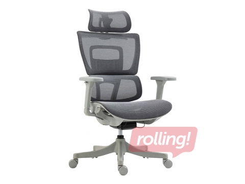 Kontoritool Skorpios, hall