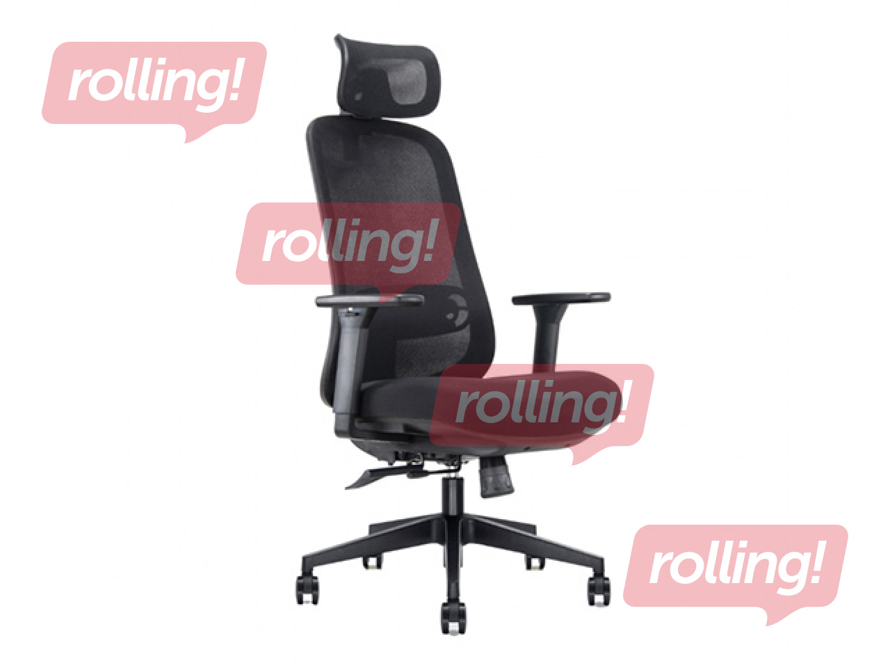 Office chair Bjarg Ergo, black