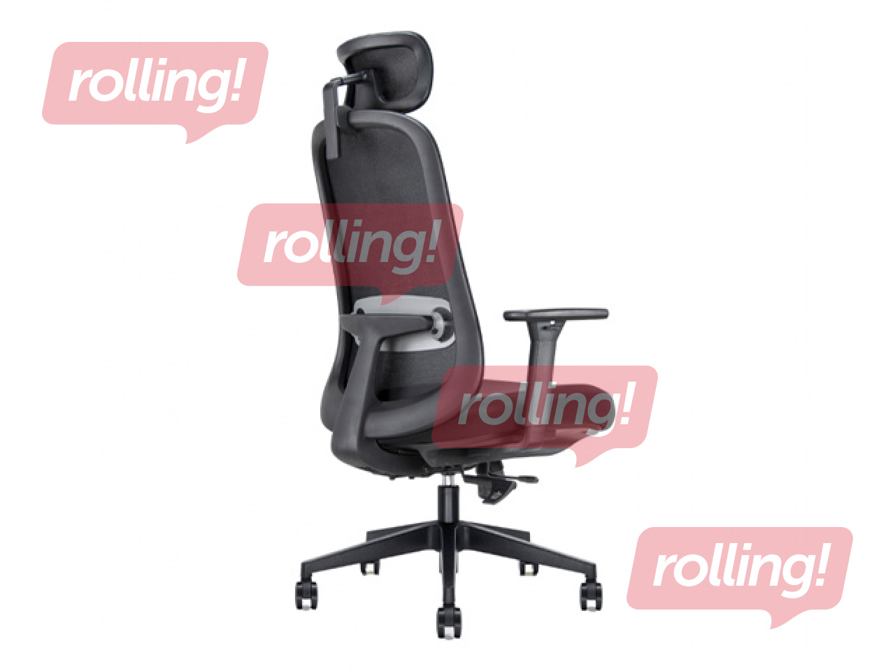 Office chair Bjarg Ergo, black