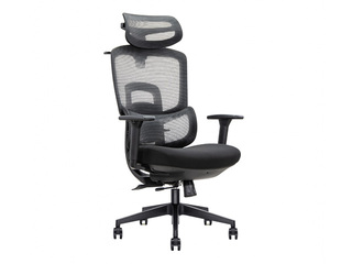 Office chair Human Ergo, black