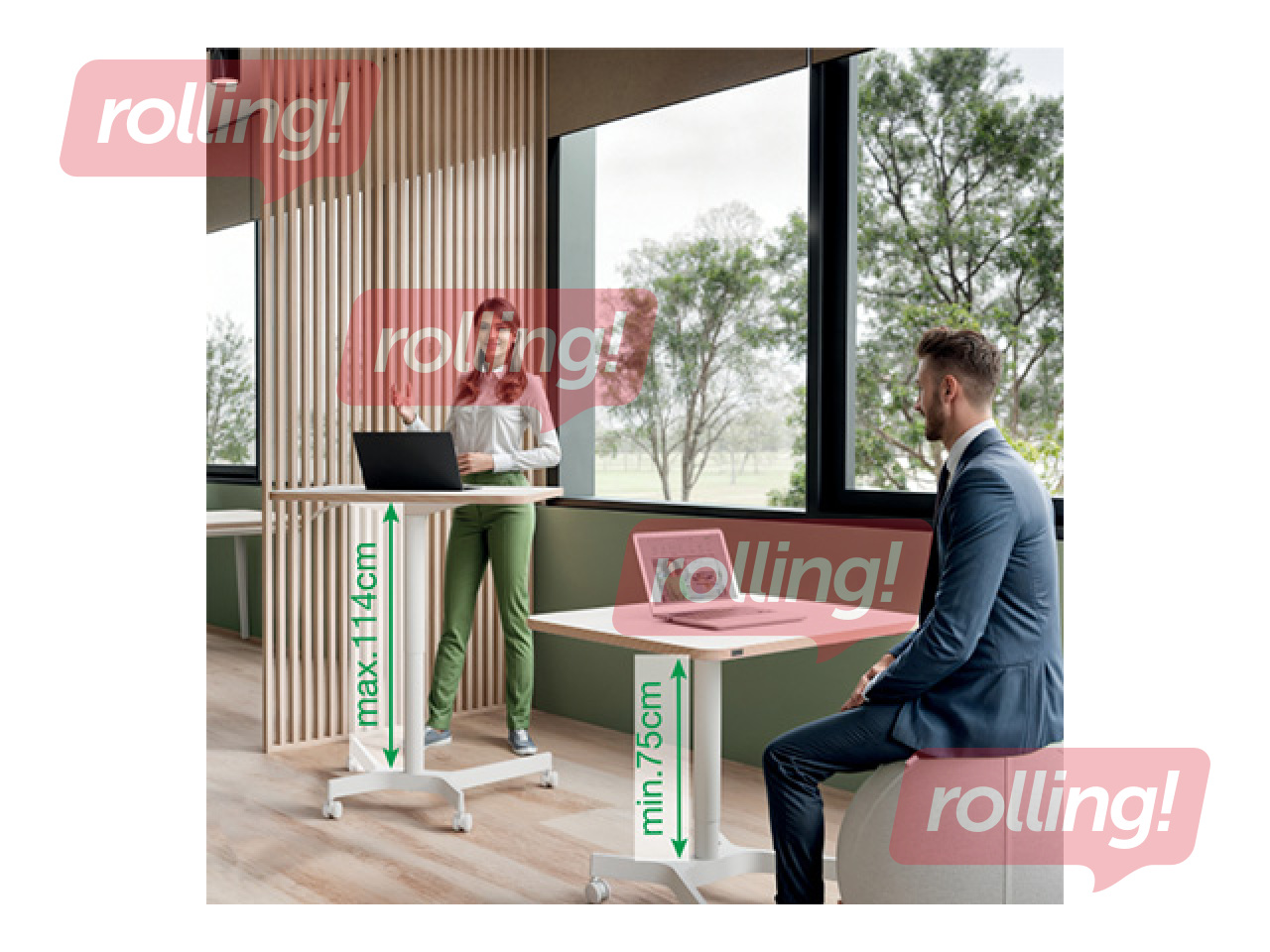 Augstumā regulējams galds Leitz Ergo, balts, 80x60cm