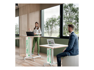 Height adjustable desk Leitz Ergo, white