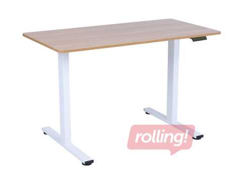 Reguleeritava kõrgusega laud Ergo Fit, valge raam, tammetoonis lauaplaat, 120x60cm