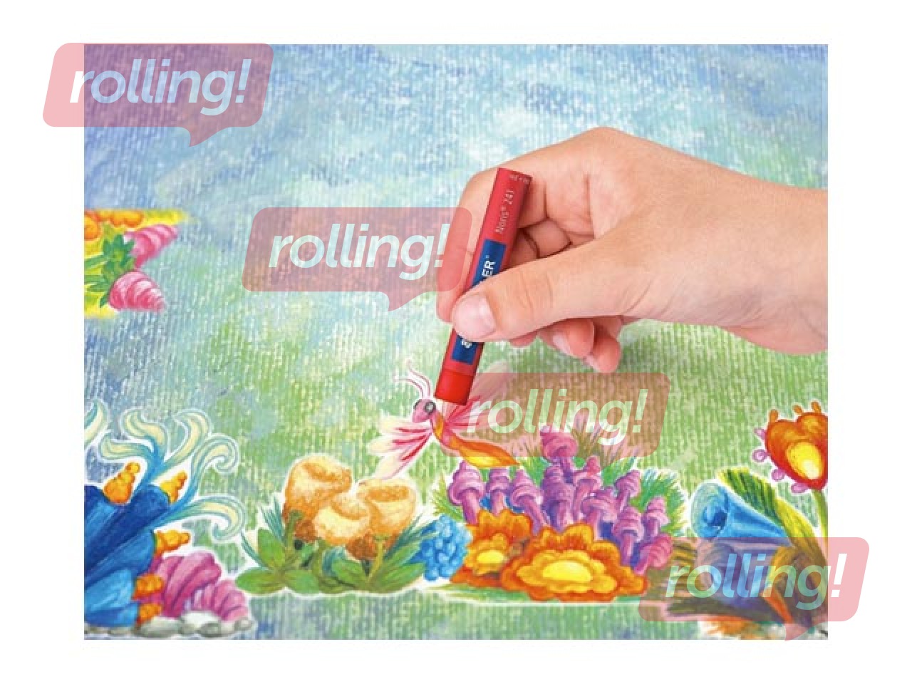 Oil Pastels Staedtler, 16 colours
