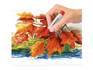 SALE Õlipastellkriidid Staedtler 2420, 24 värvi
