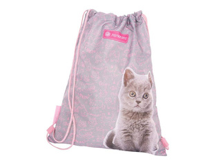 Jalatsikott Astra, Pinky Kitty