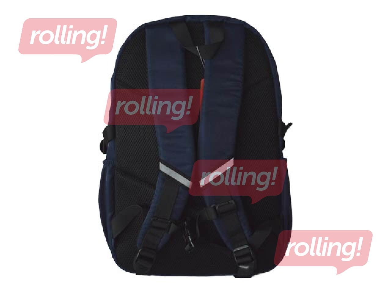 Koolikott kahe sahtliga ErichKrause SchoolLine, sinine, 24 L