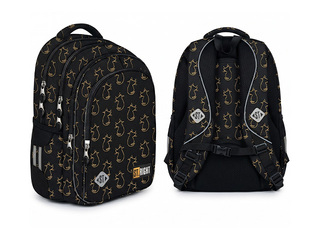 Рюкзак Golden Cats BP58, 22l