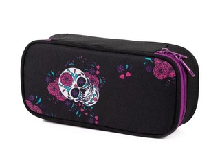SALE Pinal Skull