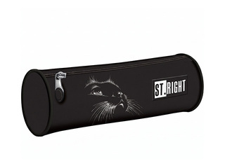 Pinal St.Right Black Cat