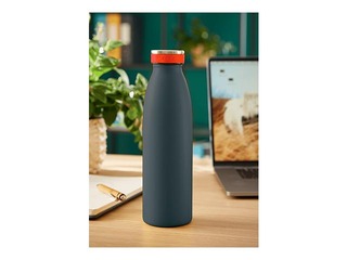 Ūdens pudele termosa Leitz Cosy, nerūsējošā tērauda, pelēka, 500ml