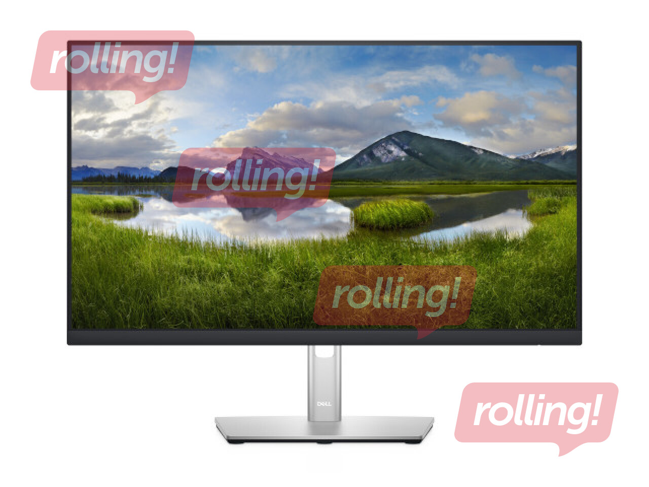 Monitors Dell P2425H 24