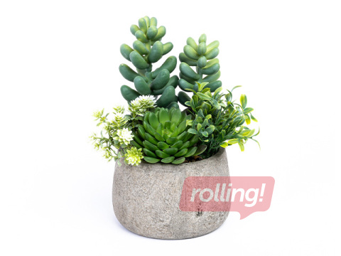 Kunstlik sukulent potis Domoletti, roheline, 20cm