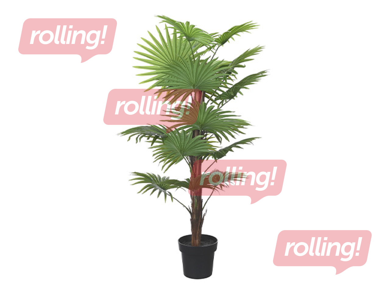 Artificial Plant Asil in Pot Domoletti, Green, 120cm