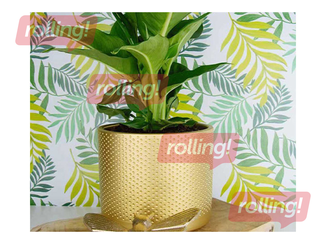 Dekoratiivne lillepott Domoletti, keraamika, kuldne, Ø19x17.6cm