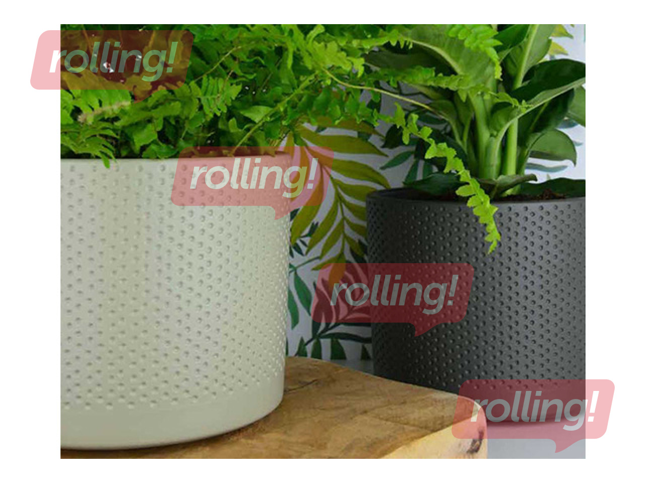 Dekoratiivne lillepott Domoletti, keraamika, valge, Ø19x17.6cm