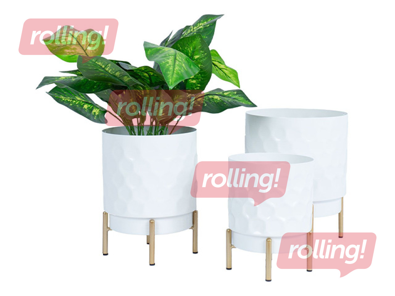 Dekoratīvais puķu pods Deia, balts, Ø15x20cm