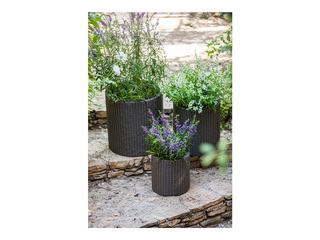 Dekoratiivsete lillepottide komplekt Keter Cylinder Planters, plast, pruun, S+M+L, 3tk