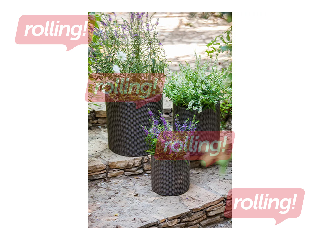 Dekoratiivsete lillepottide komplekt Keter Cylinder Planters, plast, pruun, S+M+L, 3tk
