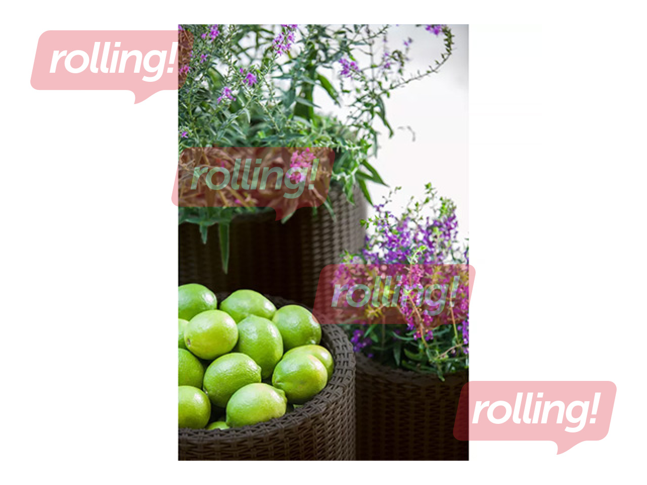 Dekoratiivsete lillepottide komplekt Keter Cylinder Planters, plast, pruun, S+M+L, 3tk