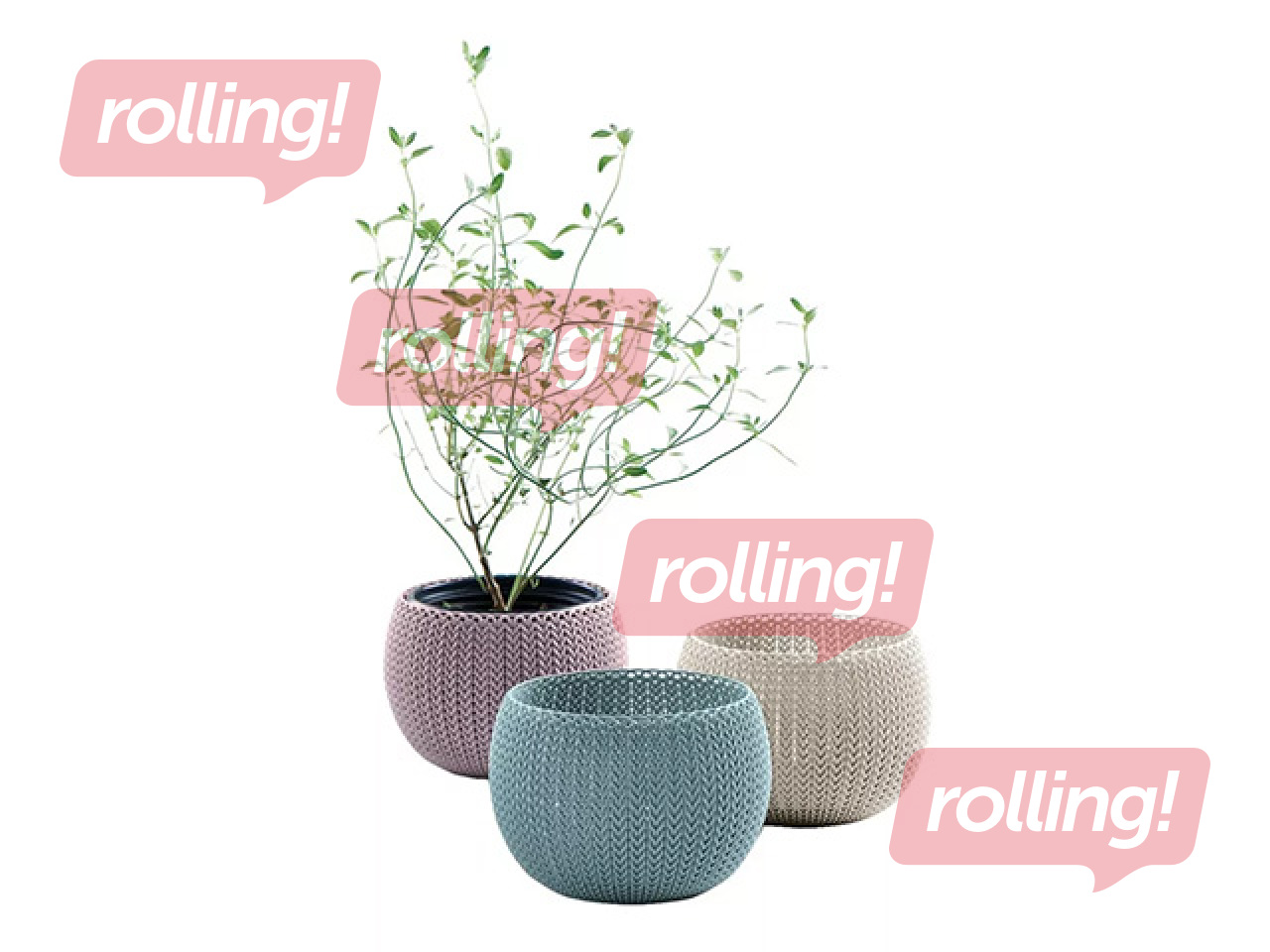 Dekoratiivsete lillepottide komplekt Keter Cozies Trio, plast, erinevad värvid, 3tk