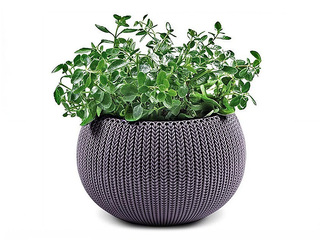 Decorative flower pot Keter Cozy M, hanging, plastic, purple, Ø36cm