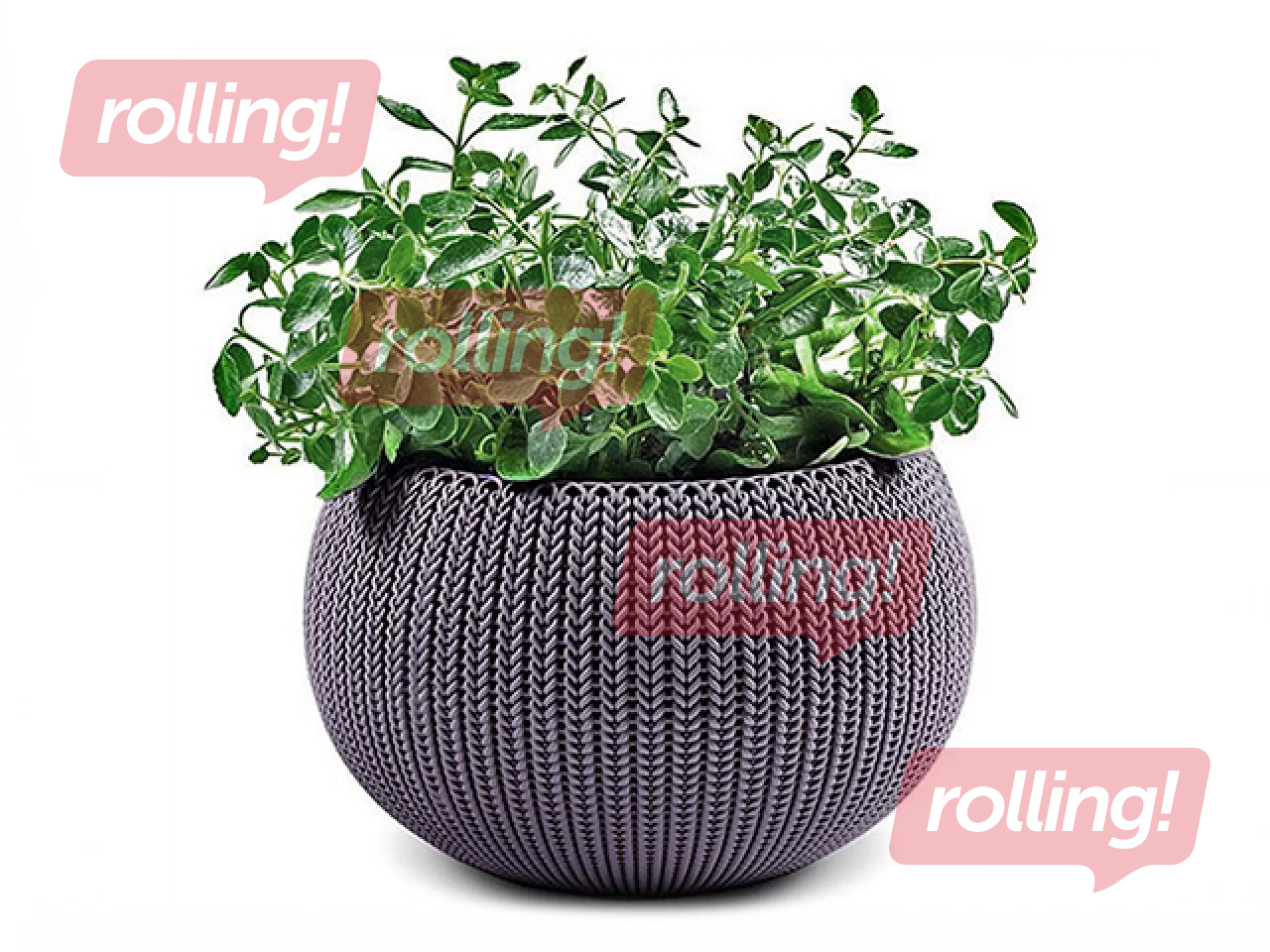 Dekoratiivne lillepott Keter Cozy M, riputatav, plast, lilla, Ø36cm