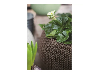Dekoratiivne lillepott Keter Cozy M, riputatav, plast, pruun, Ø36cm