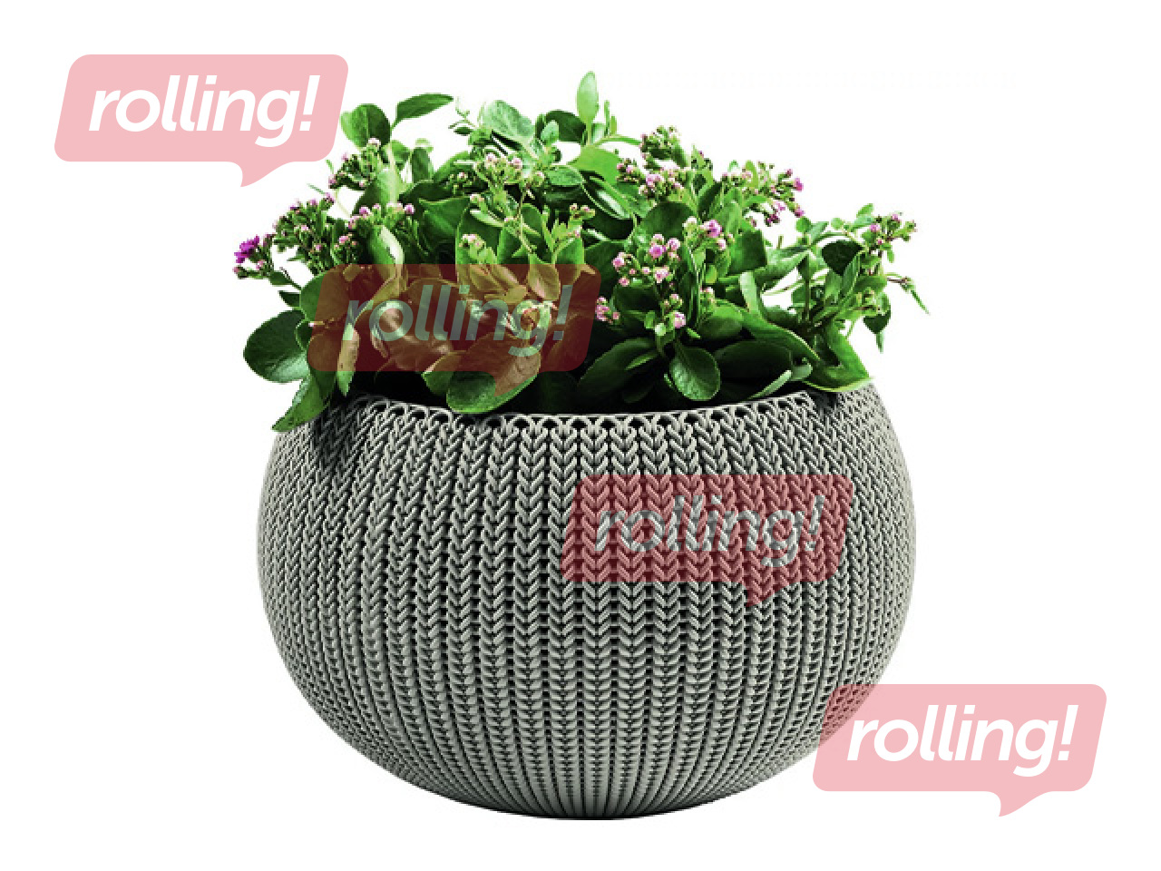 Dekoratiivne lillepott Keter Cozy M, riputatav, plast, beež, Ø36cm