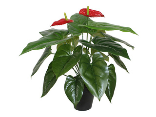 Kunsttaim Anthurium flamingo, must pott, 45cm