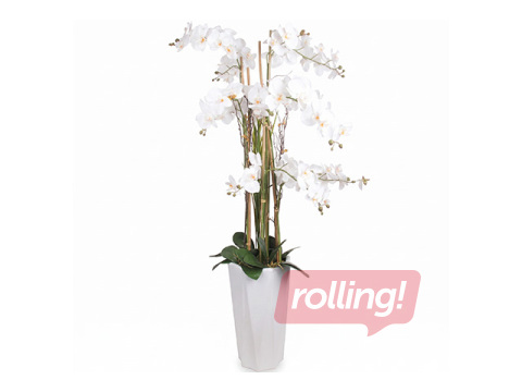 Artificial plant Garden Queen, white orchid, 132cm