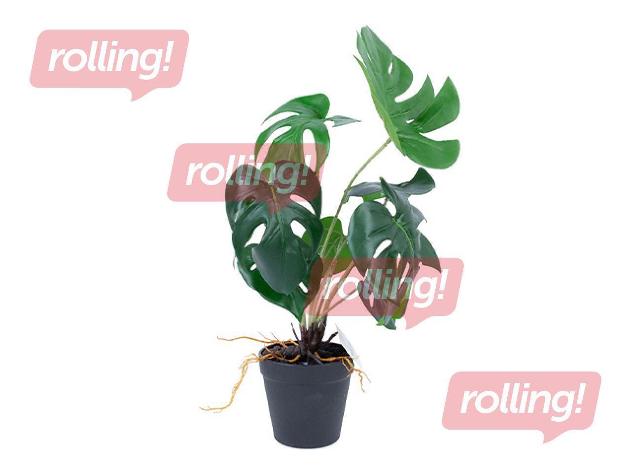 Artificial plant Greenland, monstera, 40cm