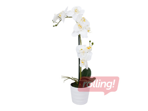 Mākslīgais augs In Garden, orhideja podiņā, 2 zari, balta, 51cm
