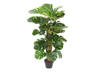 Kunsttaim Monstera, 105cm