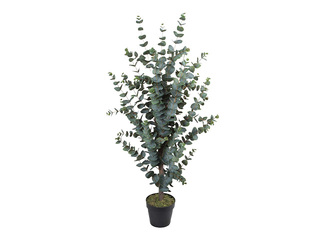 Mākslīgais koks Wind Eucalyptus, 120cm