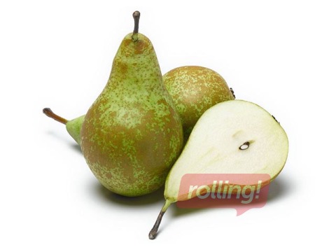 Pears Conference, 1 grade, 1 kg