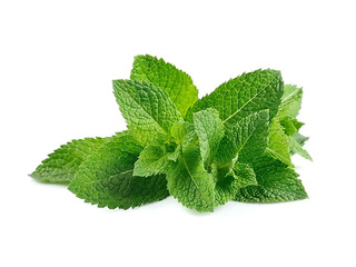 Piparmünt pakendatud termopakendisse 20g, 1. klass