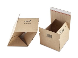 Box for postal shipments Master´in Access, L169 x B130 x H70 mm, cardboard