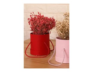Gift box for flowers, with texture, red