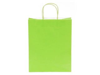Paper gift bag TOPTWIST 240x110x310mm, lime green