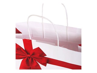 Paper gift bag Rosette, 550x150x490mm, white