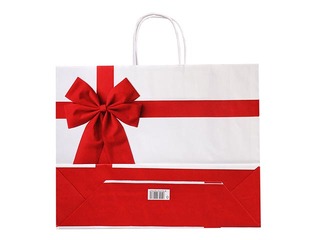 Paper gift bag Rosette, 550x150x490mm, white
