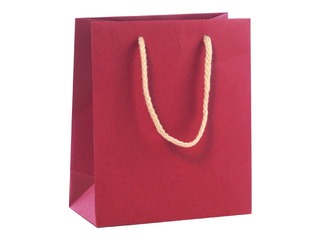 Paper bag with handles, 160x80x190 mm, red